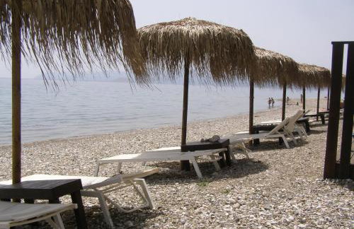 Oma's Haus- Το σπίτι της γιαγιάς - Foto 2