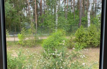 Biały Domek nad Wkrą - Foto 47