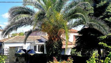 Παραδοσιακή κατοικία-Παλιά Πόλη - Foto 3