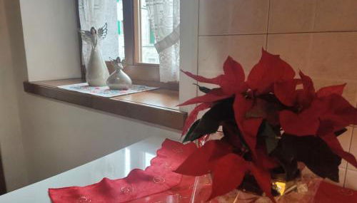 Accogliente nido di Silvia nel cuore di Caderzone Terme - Foto 2