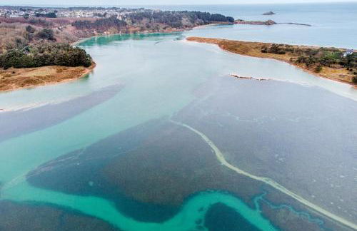 Belle demeure de pierre au calme à Erquy - Foto 19