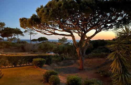 Praia da Falésia Alfa Mar Albufeira - Foto 18