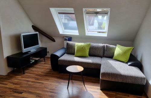 Ferienwohnung „Schau ins Frankenland“ - Foto 16