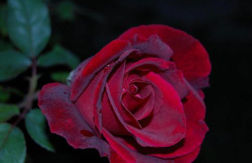 Terre Iblee Resort - Foto 55