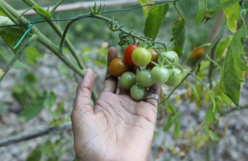 Maison calme et verdure - Foto 18
