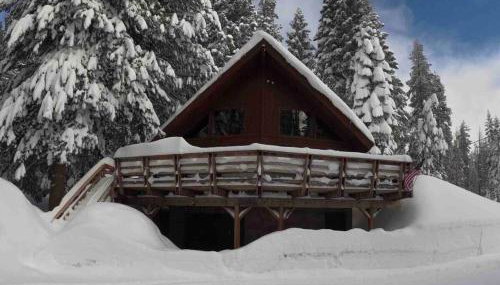 Little Bear Lodge - Foto 4