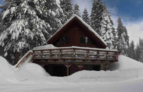 Little Bear Lodge - Foto 4