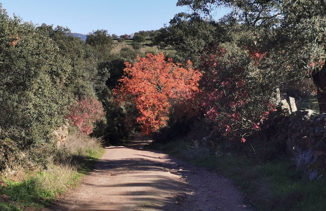 Casa Rural Mirador de los Tomillos - Foto 27