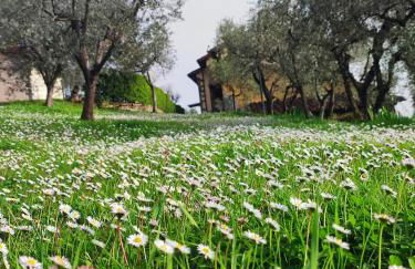 Agriturismo Cafaggio Primo - Foto 12