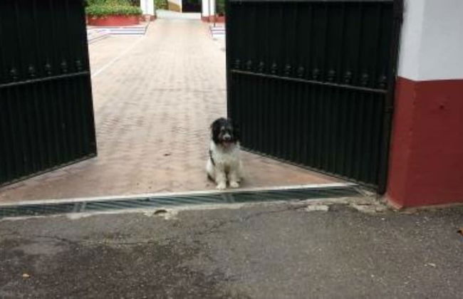 Finca La vega - Foto 51