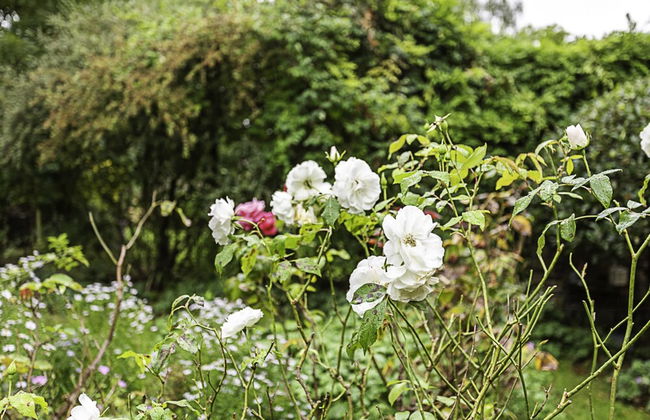 Clapham Charm: 2-bedroom Beauty - Foto 27