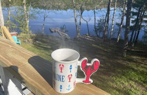 Lake Front-Spa Tub-Fire Pit-Full Kitchen-Canoe - Foto 13