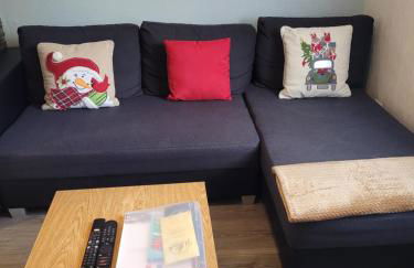 Appartement Au Cigogneau Wifi-Netflix-Balcon-Parking - Foto 2