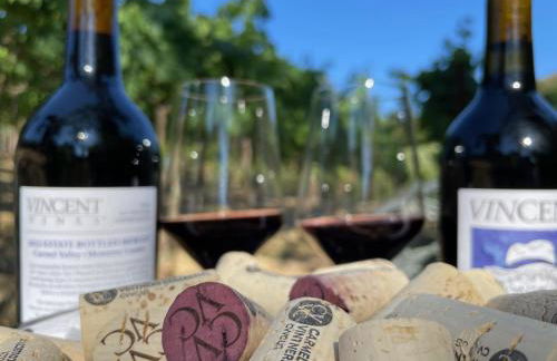 Serene Vineyard Chateau with Pool, Hot Tub, BBQ - Foto 62