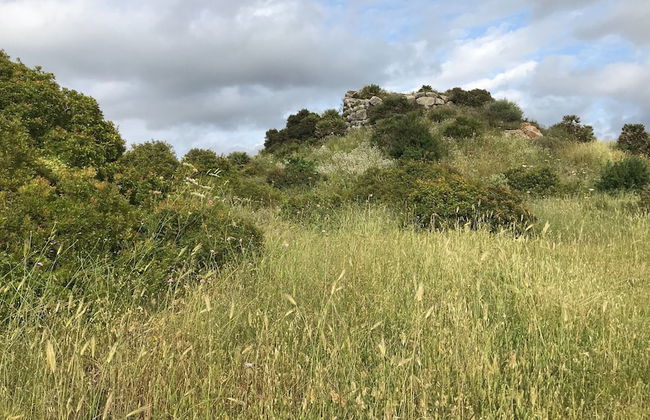 Casa Busciana in Olmedo - Foto 25