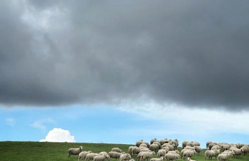 La casa di Zoe-ARTANDTRAVEL - Foto 67