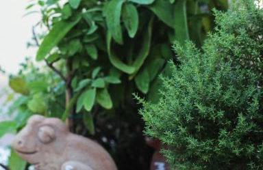 LIGURIA home - Foto 43