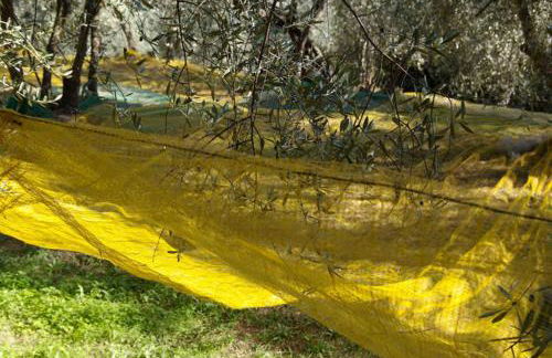 Ferienhaus in Vasia Imperia für bis zu 4 Personen - Foto 9