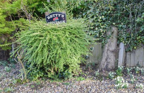 Betty's Cottage - Photo 15