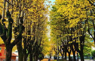 La Cà Granda, quiet house with mountain views - Photo 60