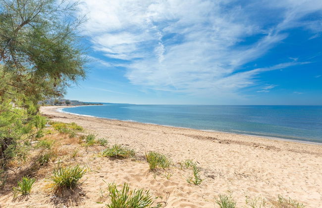 3533 Il Giglio Azzurro by Barbarhouse - Foto 16