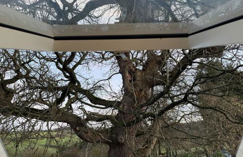 Upper Gelli Luxury Holiday Lodge, Converted Dairy & Cosy Shepherds Huts - Photo 23