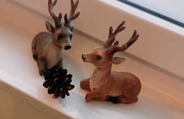 Ferienzimmer Waldzauber - Foto 18