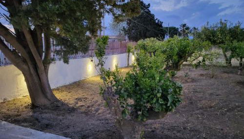 TRECI2023 - Foto 5, Garden, Garden view