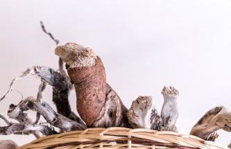 Nel cuore del centro storico di Maratea - Foto 17