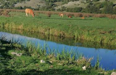 Il Borgo della Zittola - Foto 58