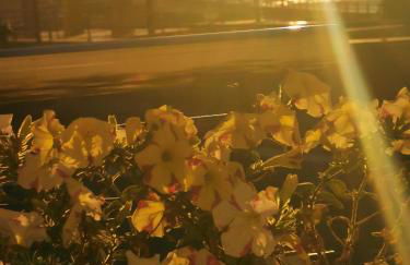 Villa Playa Baiona - Foto 21