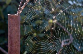 Villa Calma Biokovo near Makarska - Foto 47