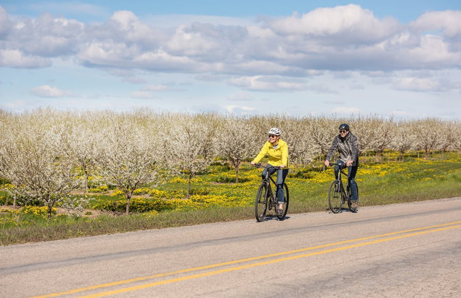 Beautiful 2BDR Loft Suite at Golf Course Condo 5549 - Foto 137