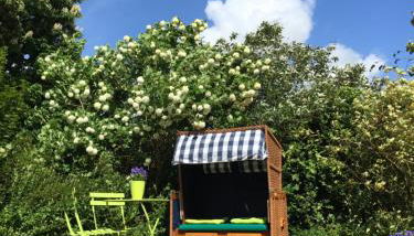 Gartenidyll Insel Rügen Poppelvitz bei Altefähr - Foto 2, Garden view