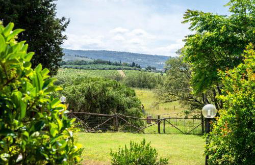 Agriturismo La Carletta - Foto 8