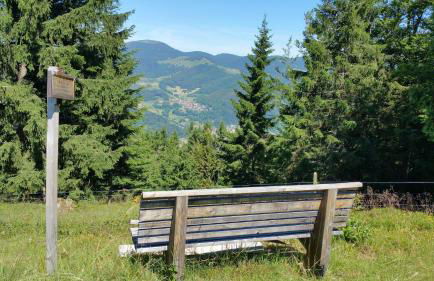 Haus Föhrenbach - Foto 19