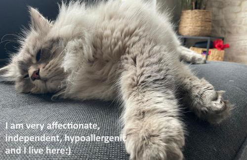 Villa avec Piscine - 15 ' JO - Vélos - 30 ' Disney - Foto 55