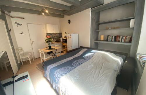 Chez Nono - Studio chaleureux proche thermes - Photo 1