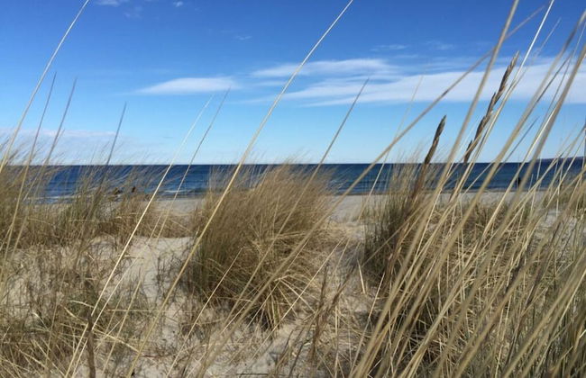 Holiday Home Rugen-dream - Photo 24