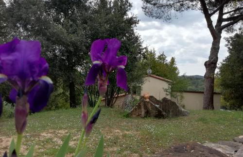 Casa Jacaranda - Foto 32