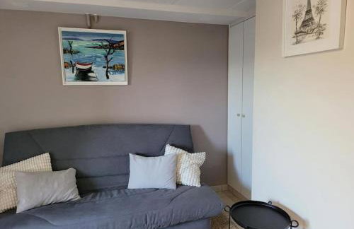 Charmant appartement 35 m2 avec terrasse et jardin - Foto 7