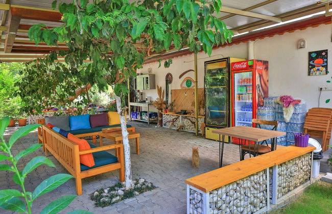 Harnup Apart - Photo 24