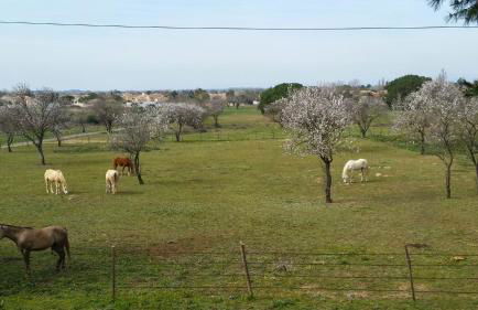 Le Gite de la Prunette - Foto 20