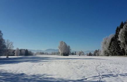 Druckerhof - Foto 18