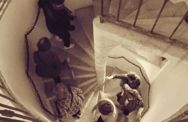 Visita guidata del Museo dell'Ulivo + Degustazione - Foto 9