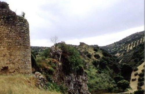 Dehesilla Olive Orchard Retreat - Foto 14