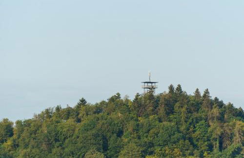 Ferienwohnung Auf Sarret - Foto 33