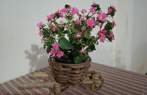 Piscina Aquecida Placa Solar, Ar condicionado Casa Inteira,Caminhos da Canastra - Foto 6