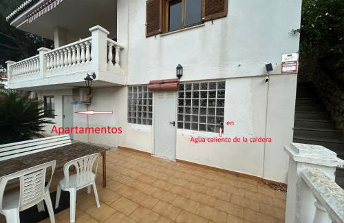 Beauty Garden - Foto 32