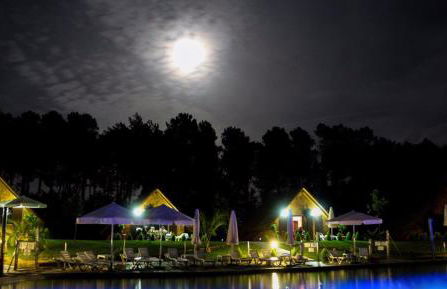 Complejo Rural La Coronilla - Foto 12